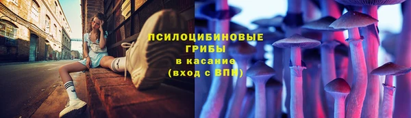 кокс Бородино