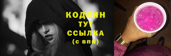 ECSTASY Богданович