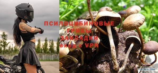СК Белая Холуница