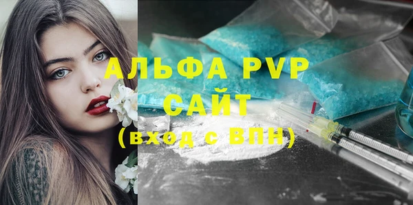 ECSTASY Богданович