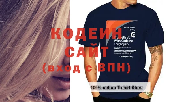 дживик Богородицк