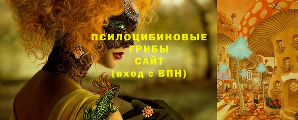 ECSTASY Богданович