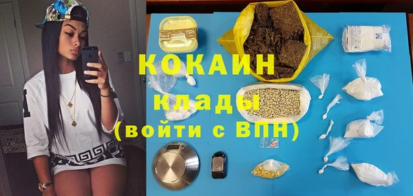 ECSTASY Богданович