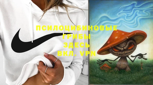кокс Бородино