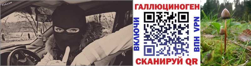 нарко площадка Telegram  Демидов  Галлюциногенные грибы Cubensis 